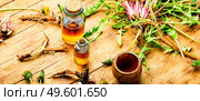 Bottle with tincture of dandelion.Taraxacum,medicinal plants.Dandelion root.. Dandelion or taraxacum in natural herbal medicine,wooden table. Стоковое фото, агентство Ingram Publishing / Фотобанк Лори