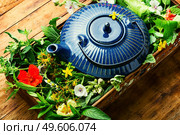 Healing herbal tea. Teapot with tea made from fresh wild herbs. Herbal medicine. Herbal tea.. Teapot with fresh medicinal herbs. Стоковое фото, агентство Ingram Publishing / Фотобанк Лори
