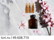 Retinol and almond oil serum beauty care, anti aging natural cosmetic, laboratory testing concept, copy space. Retinol and almond oil serum oil beauty care. Стоковое фото, агентство Ingram Publishing / Фотобанк Лори