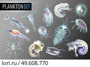 Plankton transparent set of daphnia amphipod krill copepod phytoplankton underwater inhabitants isolated vector illustration. Plankton Transparent Set. Стоковая иллюстрация, агентство Ingram Publishing / Фотобанк Лори