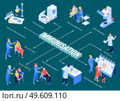 Immunization isometric flowchart from microbiology researches to vaccine development testing and vaccination schedule vector illustration. Immunization Isometric Flowchart. Стоковая иллюстрация, агентство Ingram Publishing / Фотобанк Лори
