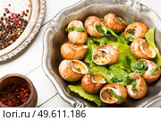 Bourgogne snail or escargot stuffed with green butter, French food.. French snail dish. Стоковое фото, агентство Ingram Publishing / Фотобанк Лори