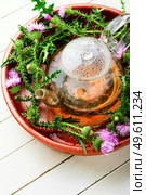 Teapot with medicinal wild herbal tea.Milk thistle or Silybum marianum in in herbal medicine. Thistle in herbal medicine. Стоковое фото, агентство Ingram Publishing / Фотобанк Лори
