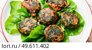 Homemade diet cutlets made from fresh chard.Vegetarian cuisine,vegan fritter. Tasty vegetable cutlet from greens,close up. Стоковое фото, агентство Ingram Publishing / Фотобанк Лори