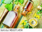 Healing tincture of celandine in a bottle.Herbal medicine.Medicinal plant celandine.. Medicinal herb celandine. Стоковое фото, агентство Ingram Publishing / Фотобанк Лори