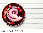 Raw octopus tentacle with vegetables on the kitchen table. Raw octopus tentacle. Стоковое фото, агентство Ingram Publishing / Фотобанк Лори
