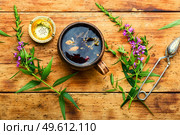 Cup of herbal tea on the table. Ivan tea or fireweed.Willow-herb. Healing fireweed tea,rustic wooden table. Стоковое фото, агентство Ingram Publishing / Фотобанк Лори
