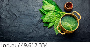 Summer green nettle soup. Fresh nettle chowder. Cream soup.Space for text,long banner. Rural lunch, nettle soup. Стоковое фото, агентство Ingram Publishing / Фотобанк Лори