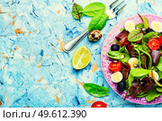 Fresh salad of Swiss chard, tomato, olives and mahana.Space for text. Spring salad with herbs and jerky. Стоковое фото, агентство Ingram Publishing / Фотобанк Лори