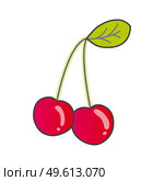 Naturalistic Drawn ripe double cherry on a branch with a leaf. Vector Illustration. Стоковая иллюстрация, агентство Ingram Publishing / Фотобанк Лори