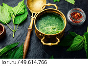 Summer green nettle soup. Fresh nettle chowder. Cream soup.. Rural lunch, nettle soup. Стоковое фото, агентство Ingram Publishing / Фотобанк Лори