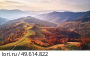 Beautiful mountain autumn landscape with meadow and colorful forest. Red, Yellow, Orange trees on hillsides. National Natural Park Synevyr, Carpathians, Ukraine, Europe. Стоковое фото, агентство Ingram Publishing / Фотобанк Лори