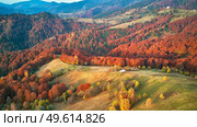 Beautiful mountain autumn panorama landscape with meadow and colorful forest. Red, Yellow, Orange trees on hillsides. National Natural Park Synevyr, Carpathians, Ukraine, Europe. Стоковое фото, агентство Ingram Publishing / Фотобанк Лори