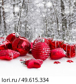 red christmas balls in snowed  winter forest. red christmas balls in snowed forest. Стоковое фото, агентство Ingram Publishing / Фотобанк Лори