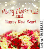 border of fresh poinsettia flowers or christmas star on festive silver bokeh background with Merry Christmas greetings. frame of pink poinsettia flower or christmas star. Стоковое фото, агентство Ingram Publishing / Фотобанк Лори