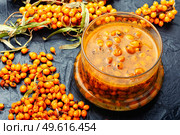 Fresh useful sea buckthorn jam. Autumn berry jam.. Glass jar with sea buckthorn jam. Стоковое фото, агентство Ingram Publishing / Фотобанк Лори