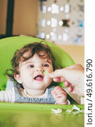 Baby eating food in her green highchair. Стоковое фото, агентство Ingram Publishing / Фотобанк Лори