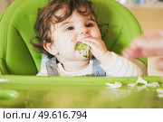 Baby eating food in her green highchair. Стоковое фото, агентство Ingram Publishing / Фотобанк Лори