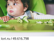 Baby eating food in her green highchair. Стоковое фото, агентство Ingram Publishing / Фотобанк Лори