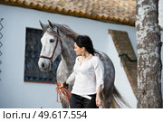 beautiful brunette walking  with grey young Andalusian stallion nearly stable. Spain, Andalusia. Стоковое фото, агентство Ingram Publishing / Фотобанк Лори