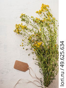 Fresh medical herbs with empty brown tag with copy space on white table. St. John’s wort bunch. Top view. Стоковое фото, агентство Ingram Publishing / Фотобанк Лори