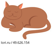 Cute cartoon kitty with ginger colored fur lies with closed eyes, nice pet vector illustration on white background. Pet cat shorthair home kitten is slipping, domestic animal with mustache and tail. Cute cartoon kitty with ginger colored fur lies with closed eyes, nice pet isolated vector on white. Стоковая иллюстрация, агентство Ingram Publishing / Фотобанк Лори