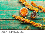 Healing extract or oil from sea buckthorn. Autumn berry in herbal medicine.Space for text. Sea buckthorn berries in herbal medicine. Стоковое фото, агентство Ingram Publishing / Фотобанк Лори