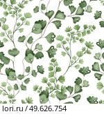 Watercolor Seamless pattern with different  ferns.  Illustration. Watercolor Seamless pattern with different  ferns. . Стоковое фото, агентство Ingram Publishing / Фотобанк Лори