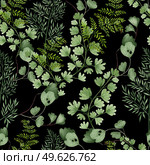 Watercolor Seamless pattern with different  ferns.  Illustration. Watercolor Seamless pattern with different  ferns. . Стоковое фото, агентство Ingram Publishing / Фотобанк Лори