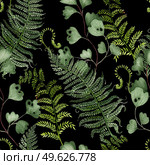 Watercolor Seamless pattern with different  ferns.  Illustration. Watercolor Seamless pattern with different  ferns. . Стоковое фото, агентство Ingram Publishing / Фотобанк Лори