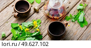 Healing tincture of celandine in a bottle.Herbal medicine.Healing herb tea. Medicinal herb celandine,healing tea. Стоковое фото, агентство Ingram Publishing / Фотобанк Лори