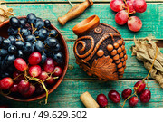 Young grape wine in a bottle. Beautiful wine flask with autumn grape wine. Stylish flask of wine. Стоковое фото, агентство Ingram Publishing / Фотобанк Лори
