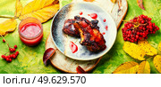 Pork steak roasted with berry sauce.Fried meat in viburnum syrup. Fried pork with viburnum. Стоковое фото, агентство Ingram Publishing / Фотобанк Лори