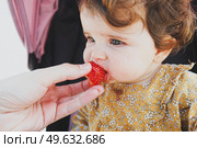 Little baby girl eating a strawberry. Стоковое фото, агентство Ingram Publishing / Фотобанк Лори