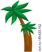 Cartoon palm trees with leaves. Tropical plant from exotic summer location. Tree growing in hot climates and on beach isolated on white background. Trunk with large palm leaves for growing coconuts. Tropical plant from exotic summer location. Palm trees growing in hot climates and on beach. Стоковая иллюстрация, агентство Ingram Publishing / Фотобанк Лори