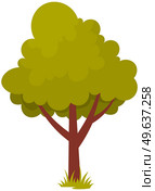 Alone deciduous tree with trunk and dense foliage. High plant with widely spread branches and green leaves. Broad-stemmed deciduous plant. Tree with green foliage isolated on white background. Deciduous tree with trunk and dense foliage. High plant with widely spread branches and green leaves. Стоковая иллюстрация, агентство Ingram Publishing / Фотобанк Лори