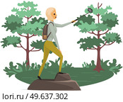 Climber reached summit of mountain. Traveling and technology concept. Lady with smartphone is posing for photo on background of forest. Woman taking selfie on mountain. Girl is traveling in nature. Climber reached summit of mountain. Lady with smartphone is posing for photo on background of forest. Стоковая иллюстрация, агентство Ingram Publishing / Фотобанк Лори