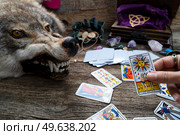 Fortune telling on tarot cards, witch hand is holding on of cards, used Marseille Tarot deck by unknown artist published first in 1709. Fortune telling on tarot cards. Стоковое фото, агентство Ingram Publishing / Фотобанк Лори