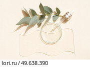Glass petri dish with transparent pure serum for skin care on beige background, top view. Concept laboratory tests, research, making natural organic cosmetic, natural cosmetics with eucaliptus twig. Glass petri dish with transparent pure serum for skin care. Стоковое фото, агентство Ingram Publishing / Фотобанк Лори