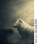 Wonderful painting with a man on a hill caressing his friend a giant, white wolf. Mysterious person taming a fantastic wild creature. Surreal scene, adventure concept. Стоковое фото, агентство Ingram Publishing / Фотобанк Лори