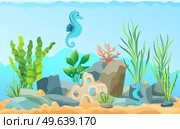 Underwater ocean fauna with sea horses and seaweed. Ocean bottom with marine life reprsentatives. Underwater world vector illustration. Seafloor, undersea, seabed with marine plants and animals. Ocean bottom, seabed with marine plants and animals. Underwater world with sea horses and seaweed. Стоковая иллюстрация, агентство Ingram Publishing / Фотобанк Лори