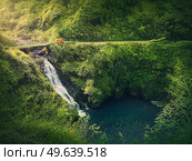 Makapipi Falls of Maui, the Road to Hana in Hawaii. Beautiful waterfall underneath the highway bridge. Wonderful cascade in the in hawaiian rainforest among tropical green fern vegetation. Стоковое фото, агентство Ingram Publishing / Фотобанк Лори