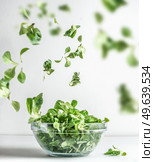 Green salad in glass bowl and flying lettuce leaves at white background. Healthy cooking preparation. Levitation food concept. Front view. Стоковое фото, агентство Ingram Publishing / Фотобанк Лори