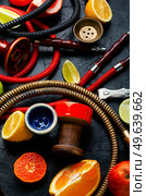 Delicious hookah with orange, lime, lemon and grapefruit. Making hookah.. Smoking shisha with citrus fruits. Стоковое фото, агентство Ingram Publishing / Фотобанк Лори