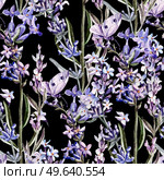Watercolor pattern with lavender flowers. Illustration. Watercolor pattern with lavender flowers. Стоковое фото, агентство Ingram Publishing / Фотобанк Лори