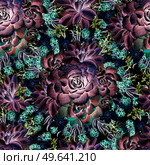 Beautiful watercolor pattern with lavender and succulents. Blackberries. Illustrations.. Beautiful watercolor pattern with lavender and succulents. Blackberries. Стоковое фото, агентство Ingram Publishing / Фотобанк Лори