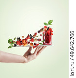Women hand holding tray with red jam jar and various flying berries and green leaves at pale green background. Creative food levitation concept. Стоковое фото, агентство Ingram Publishing / Фотобанк Лори