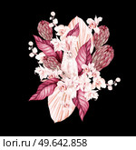 Watercolor wedding bouquet with Exotic flowers, orchid, protea, parrot and palm leaves. Illustration. Watercolor wedding bouquet with Exotic flowers, orchid, protea, parrot and palm leaves. Стоковое фото, агентство Ingram Publishing / Фотобанк Лори