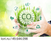 hands holding and protecting growing sprouts, carbon neutral bussiness concept, climate positive and net zero carbon emissions. carbon neutral bussiness concept. Стоковое фото, агентство Ingram Publishing / Фотобанк Лори