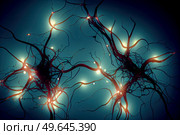 Neuron cells with light impulses, 3d illustration. Neuron cells with light impulses. Стоковое фото, агентство Ingram Publishing / Фотобанк Лори